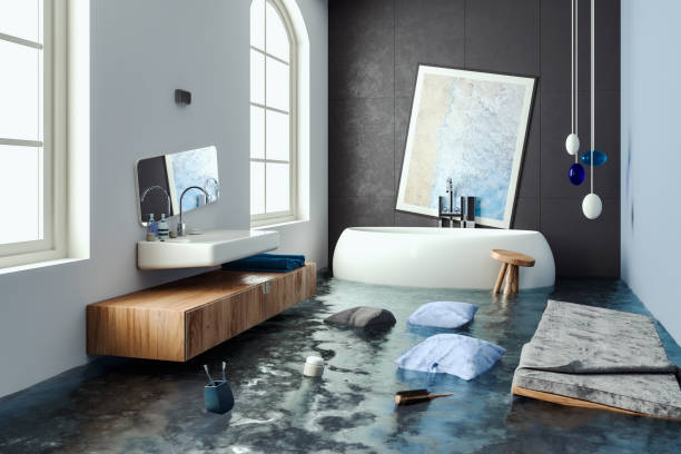 Livingston, MT Water damage restoration Company