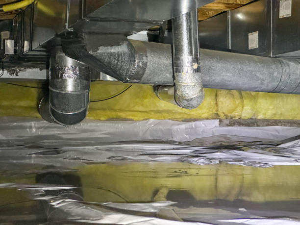 Best Local water damage restoration  in Livingston, MT