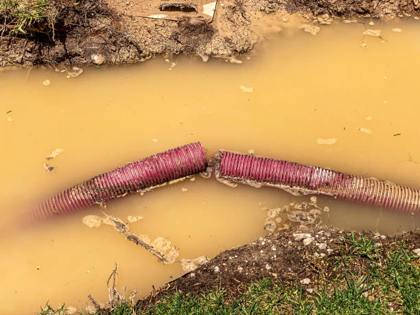 Water damage restoration mold remediation in Livingston, MT