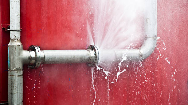 Best Local water damage restoration  in Livingston, MT